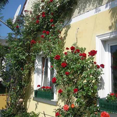 Pension Arkadenhof Unterpremstätten Exteriör bild
